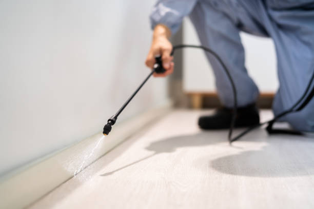 Professional exterminator conducting IPM assessment in Bull Shoals